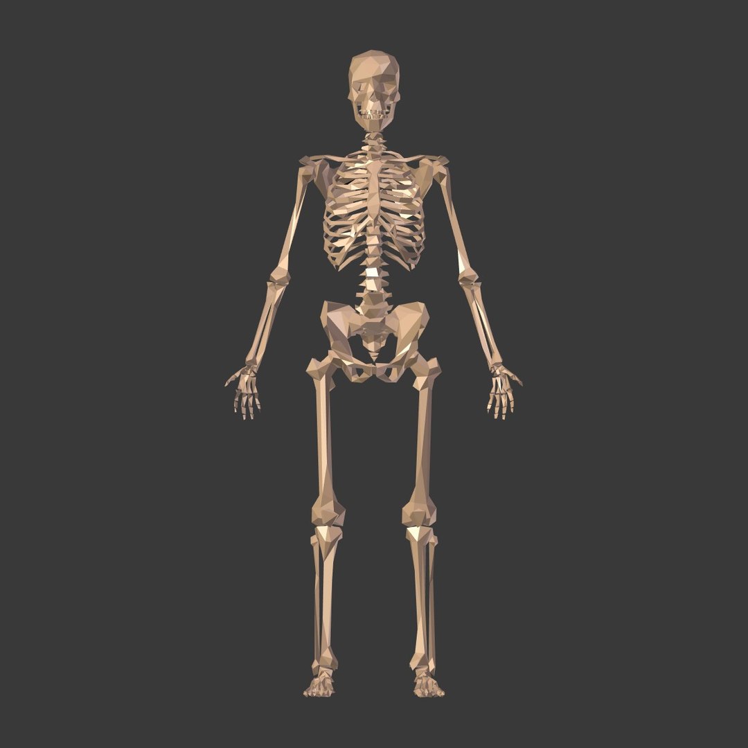 3D cartoon skeleton - TurboSquid 1362287