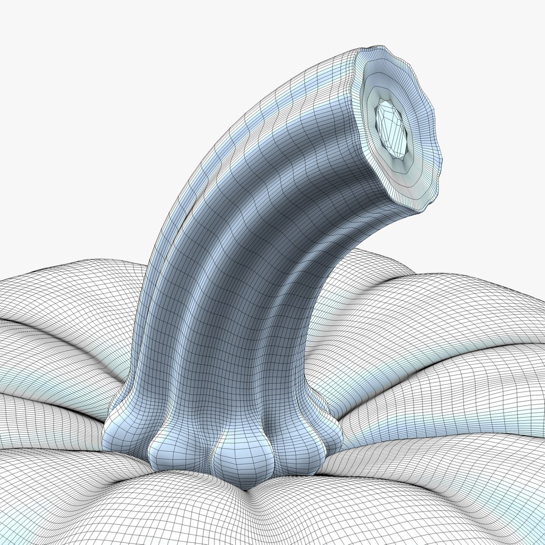 3d max pumpkin https://p.turbosquid.com/ts-thumb/66/nglxFr/MaQ6nWOt/pumpkinwf03sds0/jpg/1411085169/1920x1080/fit_q87/5b1461a1eb92a8b61c530d2b4fef6d13591378ab/pumpkinwf03sds0.jpg