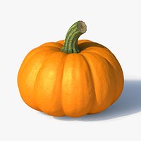 Pumpkin