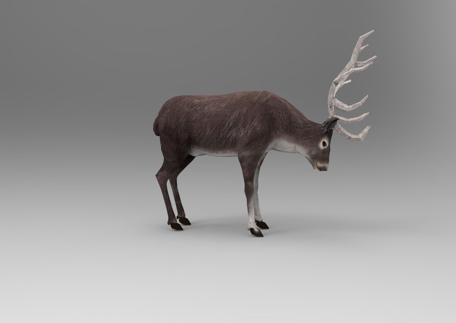3D Deer Rigged Animation - TurboSquid 1205389