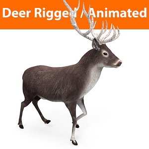3D deer rigged animation