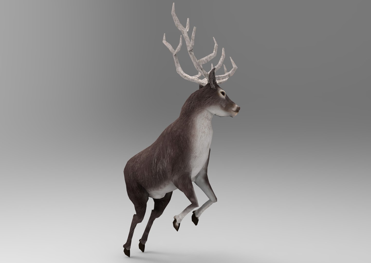 3D Deer Rigged Animation - TurboSquid 1205389