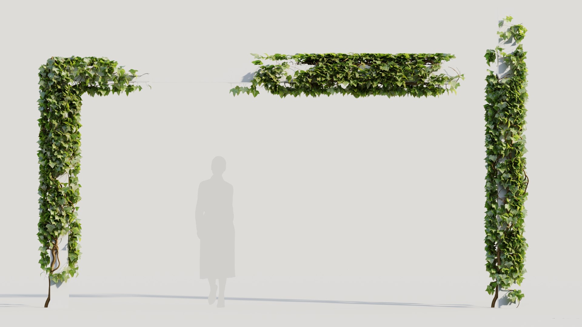 Hedera helix d 3D https://p.turbosquid.com/ts-thumb/67/42PisV/nD/hederahelixd1/jpg/1701230335/1920x1080/fit_q87/638157875c587699739cdddb6a40353012871b41/hederahelixd1.jpg