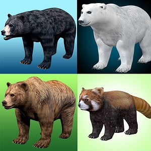 3D model Bear 3D Models Pack Collection