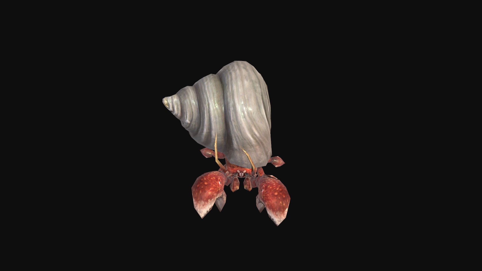 3D Hermit crab https://p.turbosquid.com/ts-thumb/67/XH8r2G/II/screenshot001/png/1705138521/1920x1080/fit_q87/0448e5fca26776f3cd7b6fc82ac12a72c01103f5/screenshot001.jpg