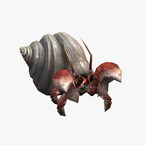 3D Hermit crab