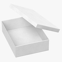 Shoebox Type 01 Different Sizes Pose and Color1