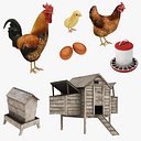 Chicken Coop and Chickens Collection