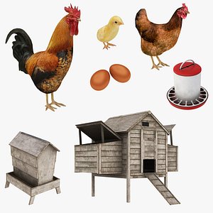 Chicken Coop and Chickens Collection