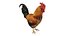 Chicken Coop and Chickens Collection