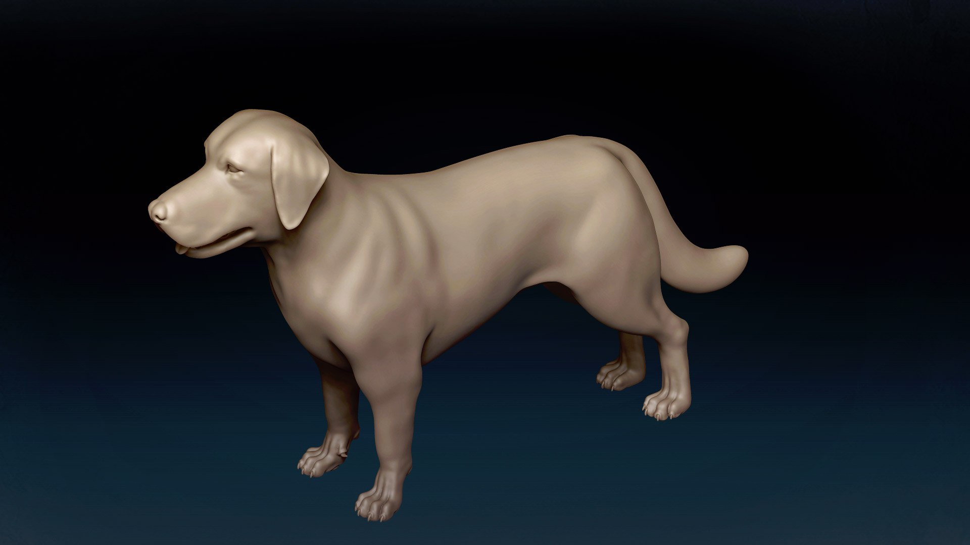 3D Labrador Retriever Base Mesh 3D Model - TurboSquid 1863579