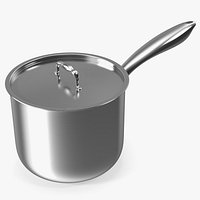 Stainless Steel Saucepan