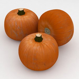 orange pumpkin 3D