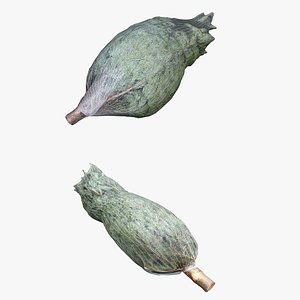 3D Christmas Tree packed Collection 01