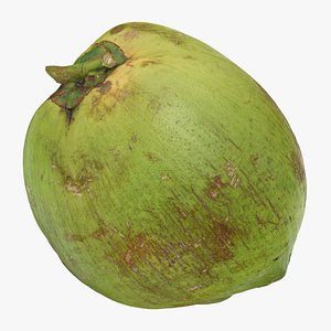 Green Coconut 02