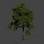 Animated Growing tree 3d model vol 100