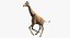 Giraffe Rigged for Maya