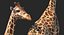 Giraffe Rigged for Maya