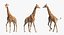 Giraffe Rigged for Maya