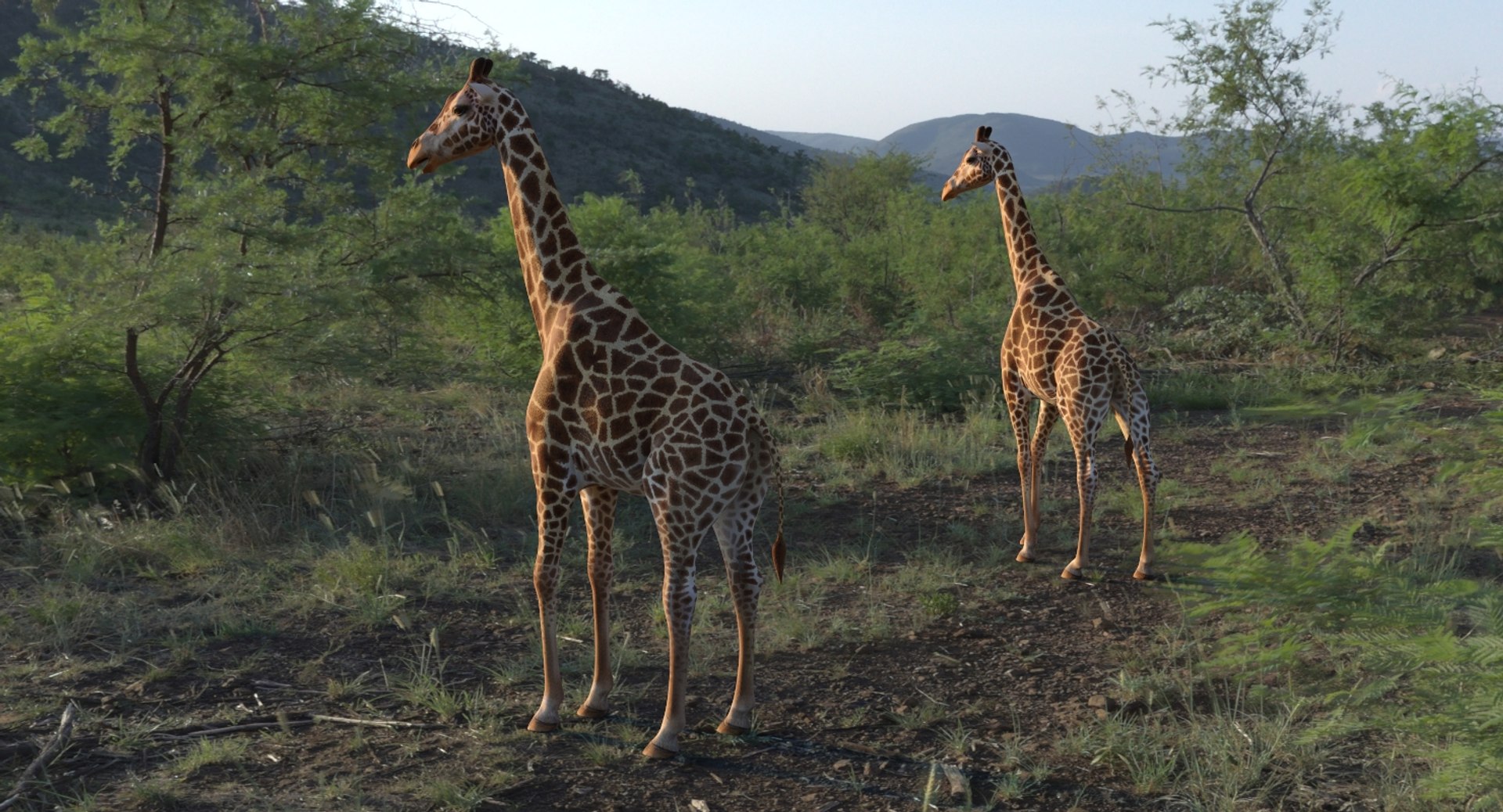 giraffe rigged 3D model https://p.turbosquid.com/ts-thumb/68/fo32ol/XtCombNS/girafferiggedvray3dmodel003/jpg/1555969286/1920x1080/fit_q87/e725487da8fe8f0f7c0b04cfb99e670c18d7fb5b/girafferiggedvray3dmodel003.jpg