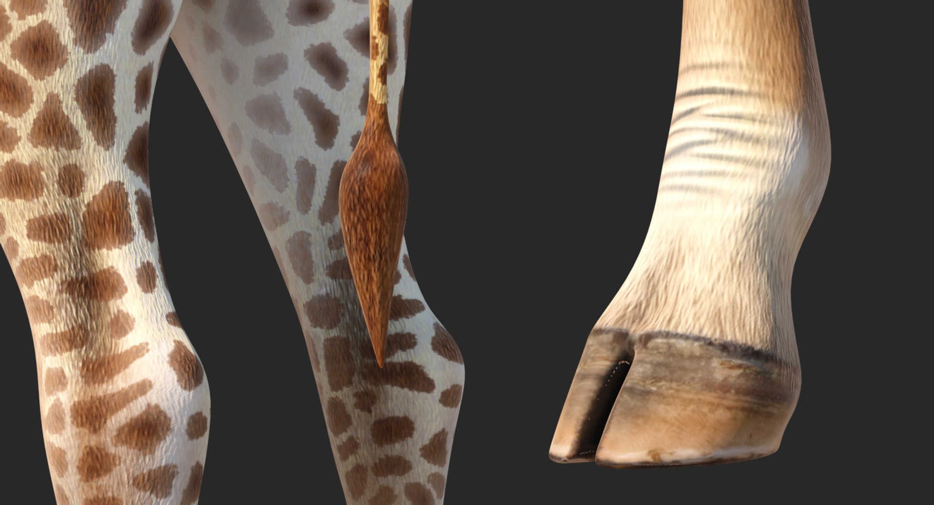 giraffe rigged 3D model https://p.turbosquid.com/ts-thumb/68/fo32ol/t2D9jU9N/girafferiggedvray3dmodel013/jpg/1555969332/1920x1080/fit_q87/4818ec31ace7aa65555890101d42c71ea2ecf9f2/girafferiggedvray3dmodel013.jpg