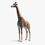 Giraffe Rigged for Maya