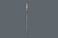 spear