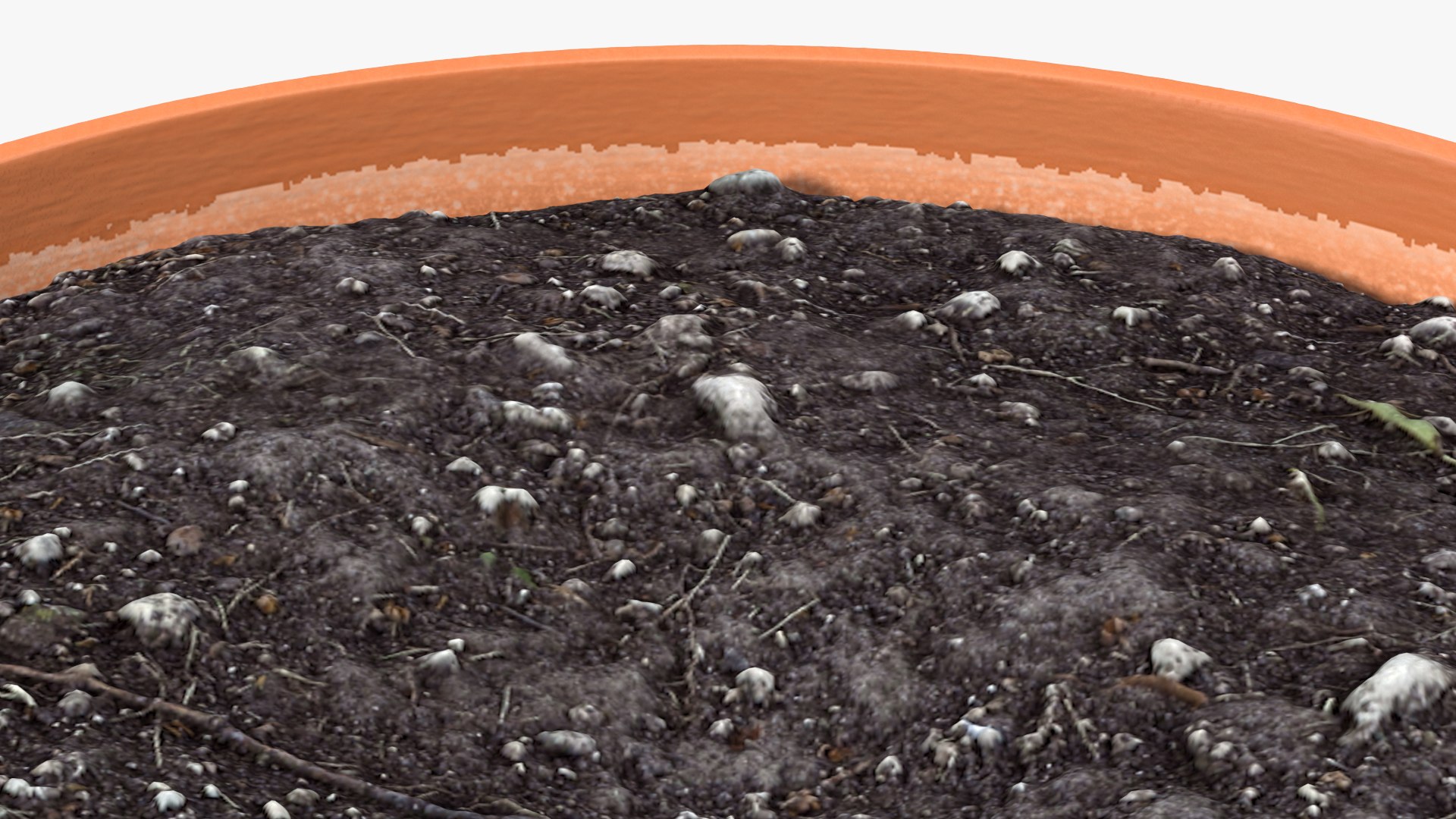 Pot with Soil 3D https://p.turbosquid.com/ts-thumb/68/yY3qbd/6q/potwithsoil3dsmodel013/jpg/1617402411/1920x1080/fit_q87/3da0dacc95134ec8557c35b3bea4b52504879875/potwithsoil3dsmodel013.jpg