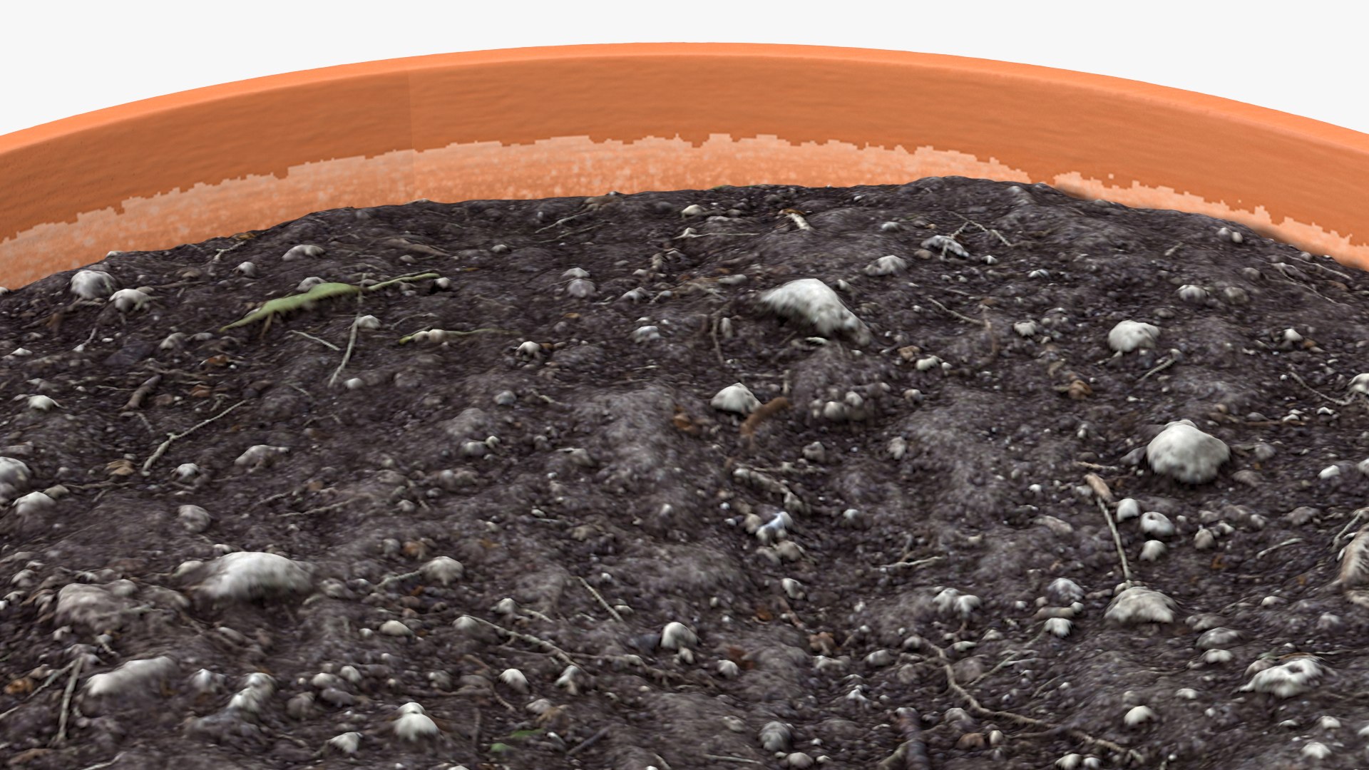 Pot with Soil 3D https://p.turbosquid.com/ts-thumb/68/yY3qbd/O1/potwithsoil3dsmodel012/jpg/1617402404/1920x1080/fit_q87/5d3f19e5adc2988ae8d3102d636fa32136677777/potwithsoil3dsmodel012.jpg