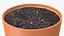 Pot with Soil