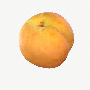 3D 03 apricot fruit modeled model