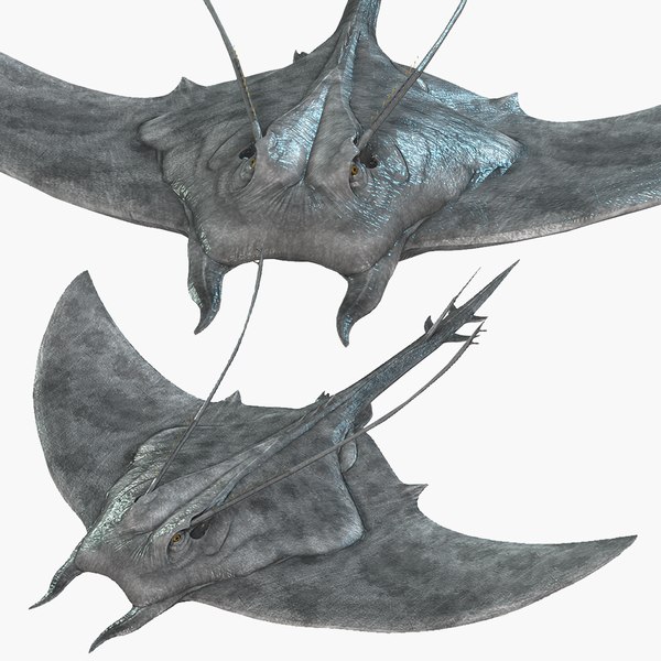 Marine Blanket Fish Model Animated3D模型 - TurboSquid 2059585