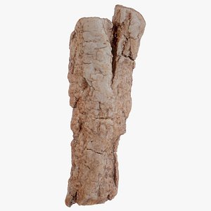 3D Birch Bark Split Betula Big Wood 06 model