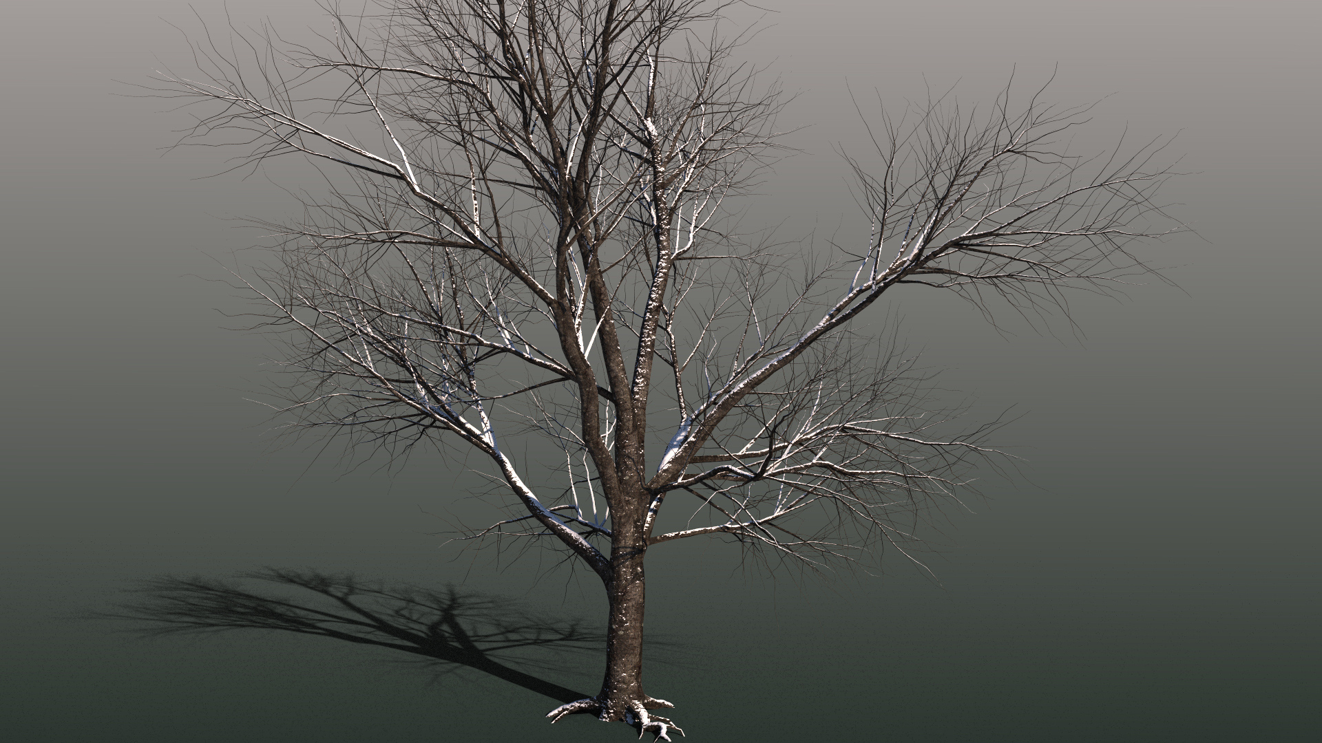 3D Model Winter Snow Covered Trees Parametric Material For V-ray Corona ...