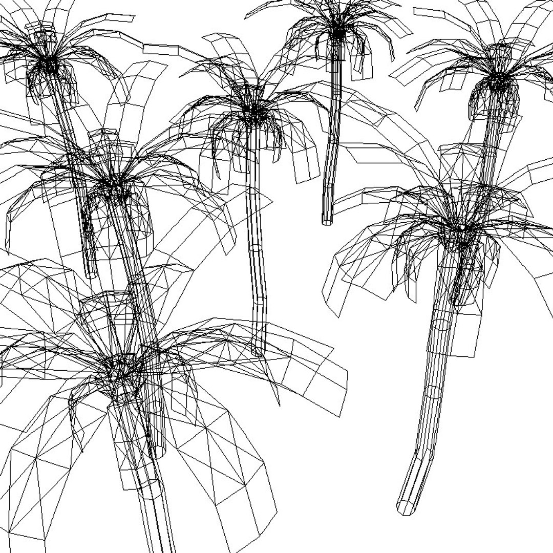 3d model palm tree