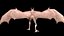 악마 비행