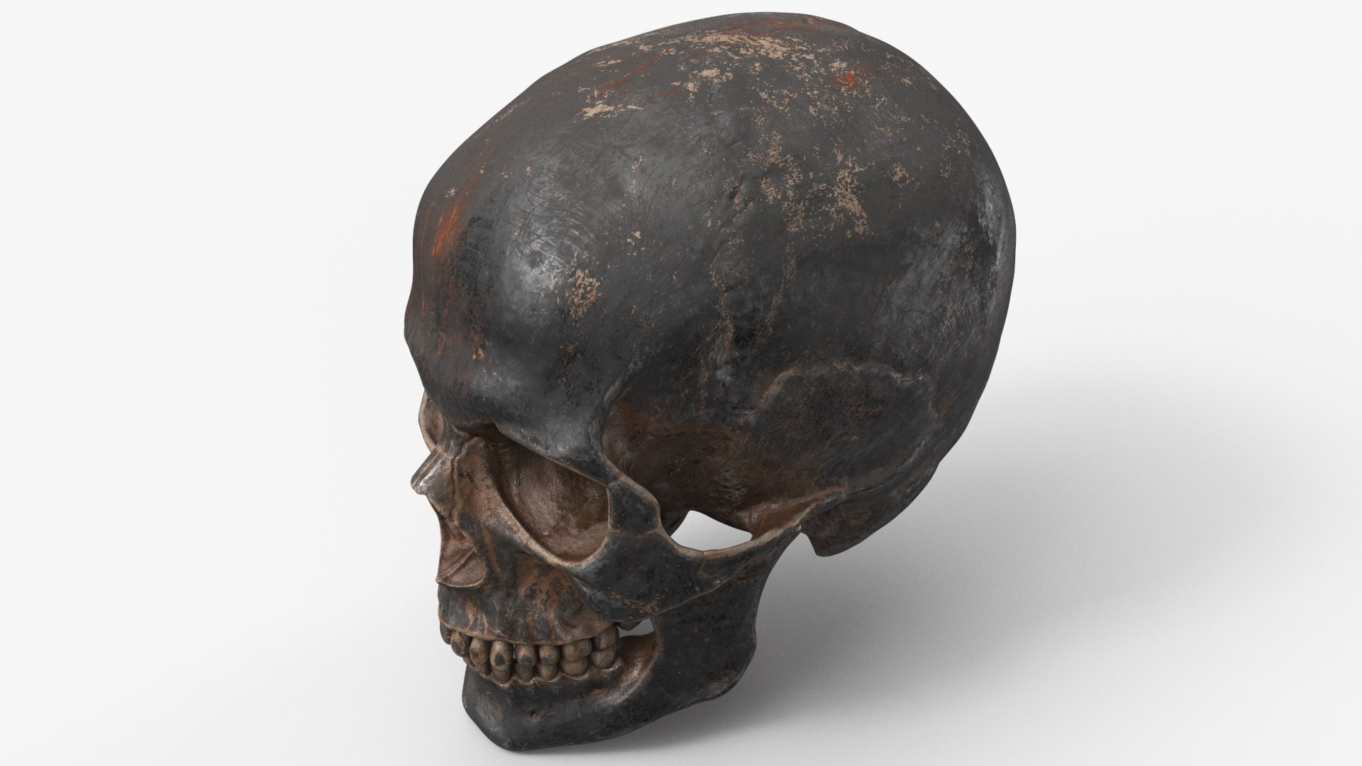3D model Human Skull Sci-fi Iron https://p.turbosquid.com/ts-thumb/69/xe4mWO/WY/b_view04/jpg/1668103886/1920x1080/fit_q87/e608d51845f7ab9463a5bf7135369874ce73de5d/b_view04.jpg