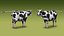 Modello 3D low poly di mucca Holstein da latte, animato e con rigging.