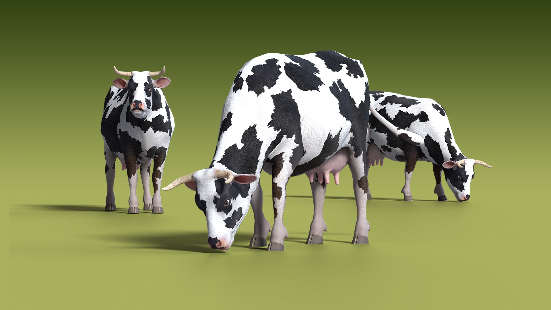 3D Low Poly Cow 3D Model Holstein Dairy Rigged Animated model https://p.turbosquid.com/ts-thumb/69/ygYfPE/WF/shepherdvalleystaticset1920x1080053/jpg/1777649064/1920x1080/fit_q87/2285669b3caa4a84c31a3547926deaf9ac9d6e3e/shepherdvalleystaticset1920x1080053.jpg
