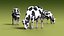 Modello 3D low poly di mucca Holstein da latte, animato e con rigging.