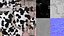 Modello 3D low poly di mucca Holstein da latte, animato e con rigging.