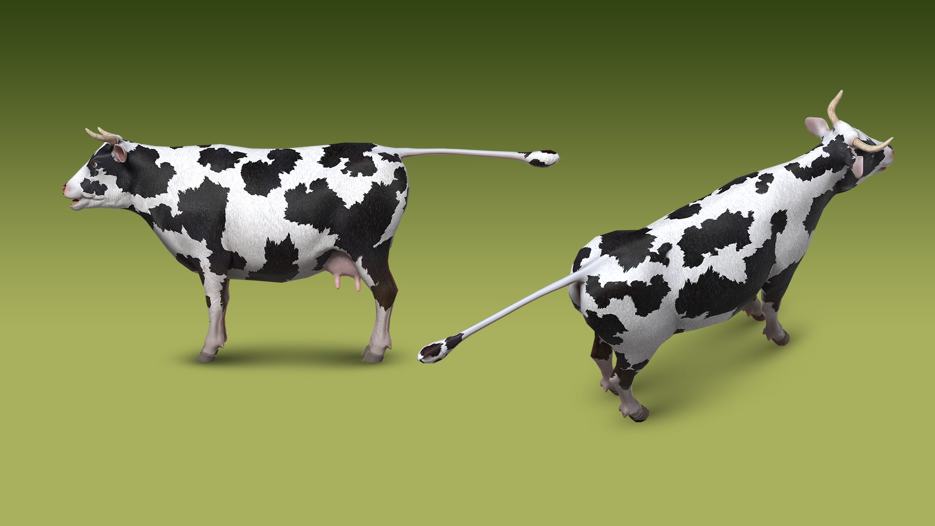 3D Low Poly Cow 3D Model Holstein Dairy Rigged Animated model https://p.turbosquid.com/ts-thumb/69/ygYfPE/rD/shepherdvalleystaticset1920x1080044/jpg/1777649063/1920x1080/fit_q87/7f0aa11f5d59c86d2d79f708d16d775862a4ca01/shepherdvalleystaticset1920x1080044.jpg