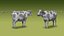 Modello 3D low poly di mucca Holstein da latte, animato e con rigging.