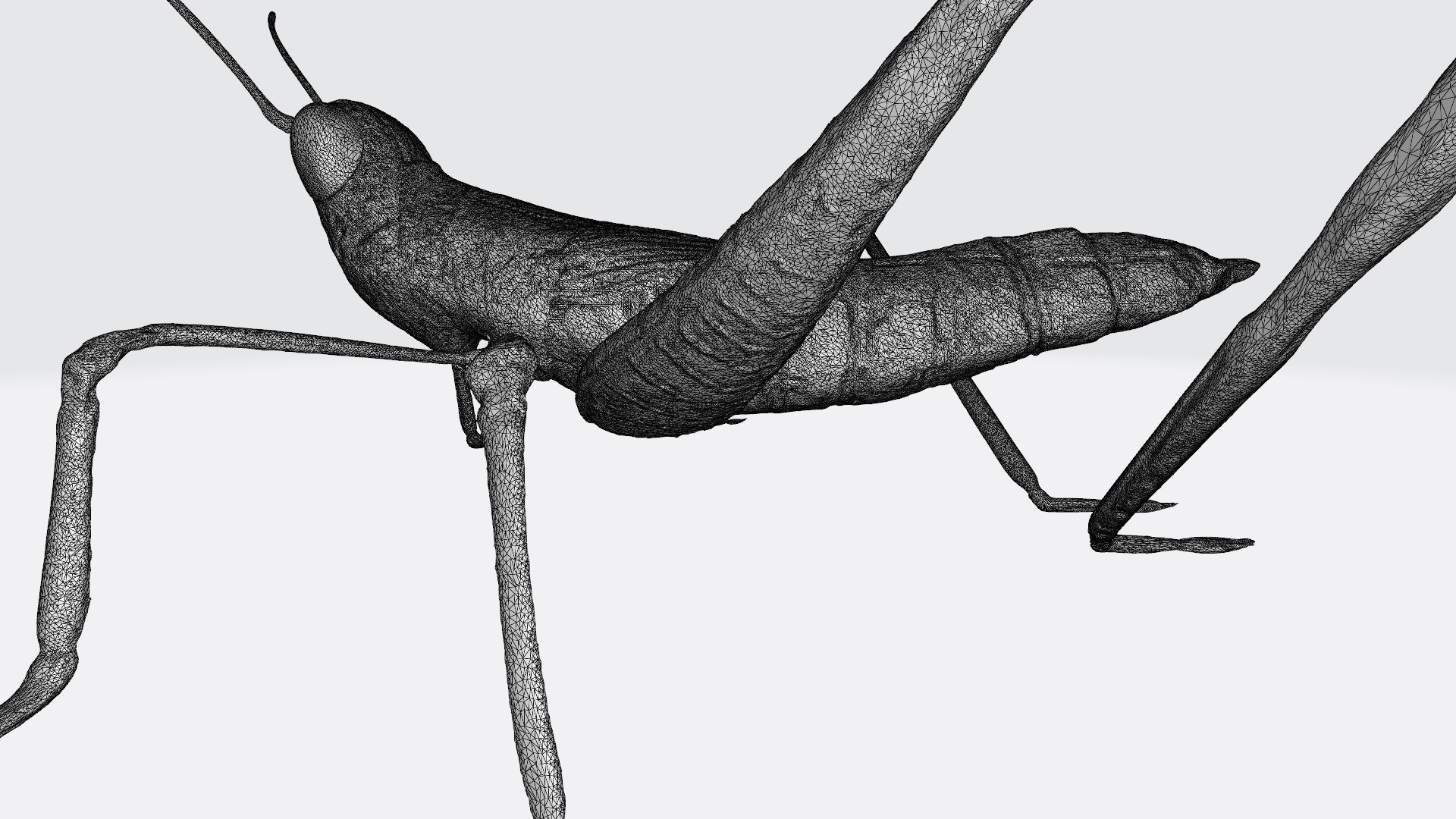Insects printable 3D model https://p.turbosquid.com/ts-thumb/6A/4fqTSB/Pk/cricketw2/jpg/1789284942/1920x1080/fit_q87/67905813582a4edebecd0c45a233a2e40fdd1b6b/cricketw2.jpg