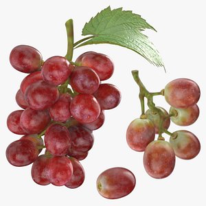 Ripe Red Grape Collection 3D model