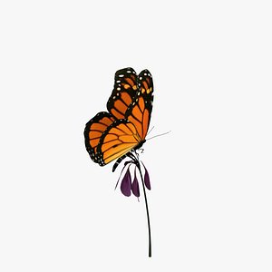 monarch butterfly flower animation 3d obj