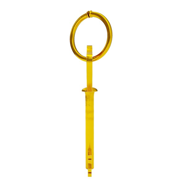 3D Skeleton key vintage 3d model - TurboSquid 1977078
