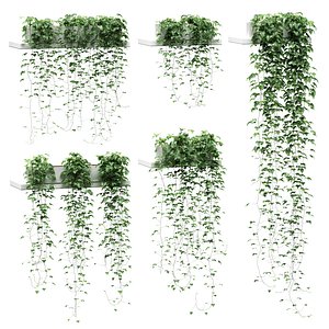 3D hanging ivy pots shelves