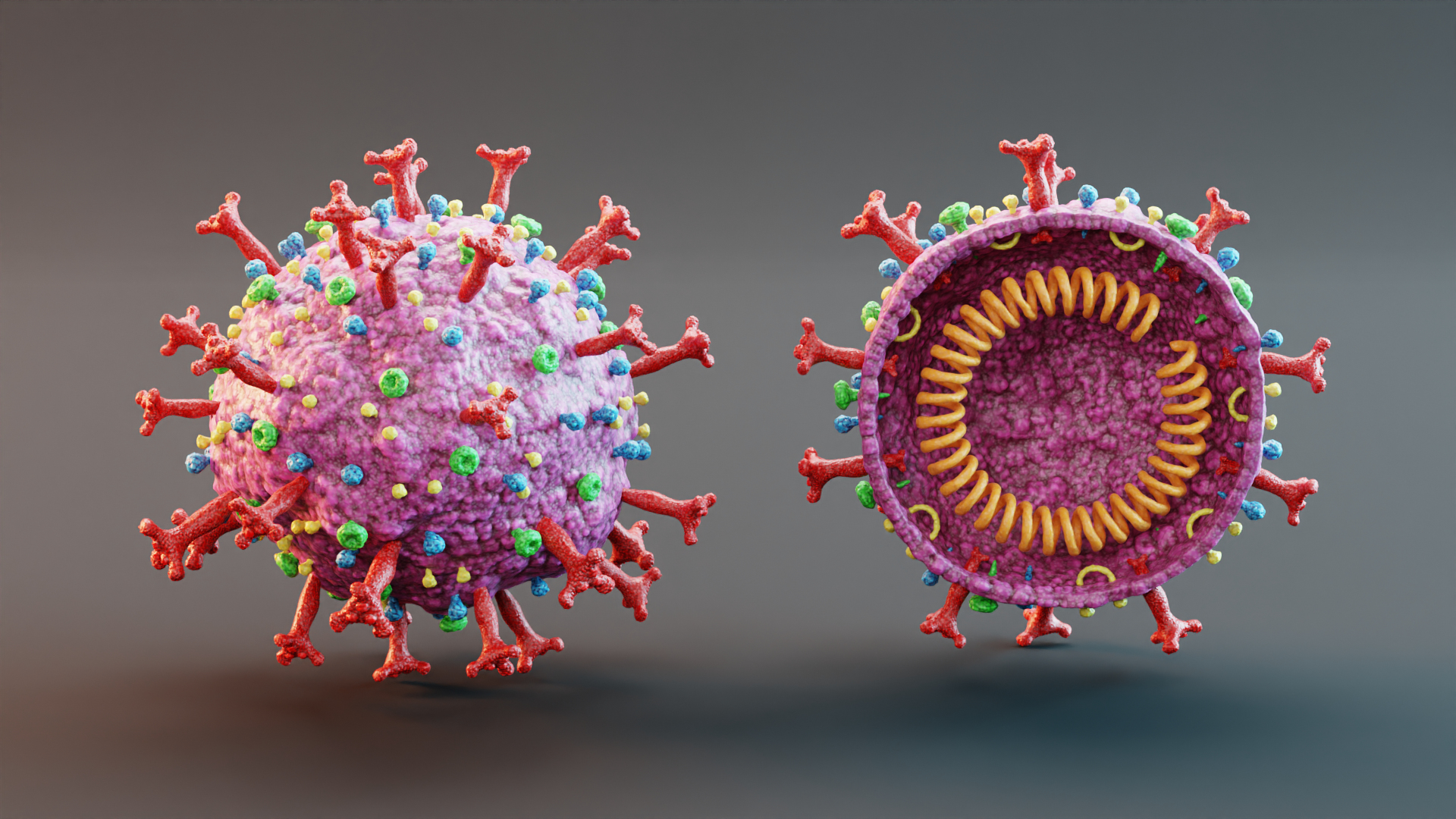 3D covid-19 structure coronavirus https://p.turbosquid.com/ts-thumb/6A/XyegVC/3pIXGnMV/0001/png/1603119890/1920x1080/turn_fit_q99/1349dc0479e7052a40fac00ab9d3e536bd9af1e4/0001-1.jpg
