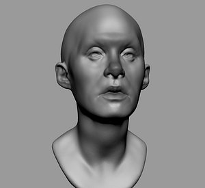 3D base female head anatomy